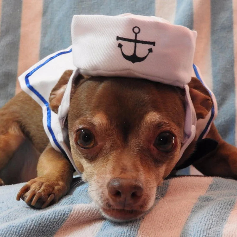 VelumiPets Sailor – Sjömanskostym för katt & hund