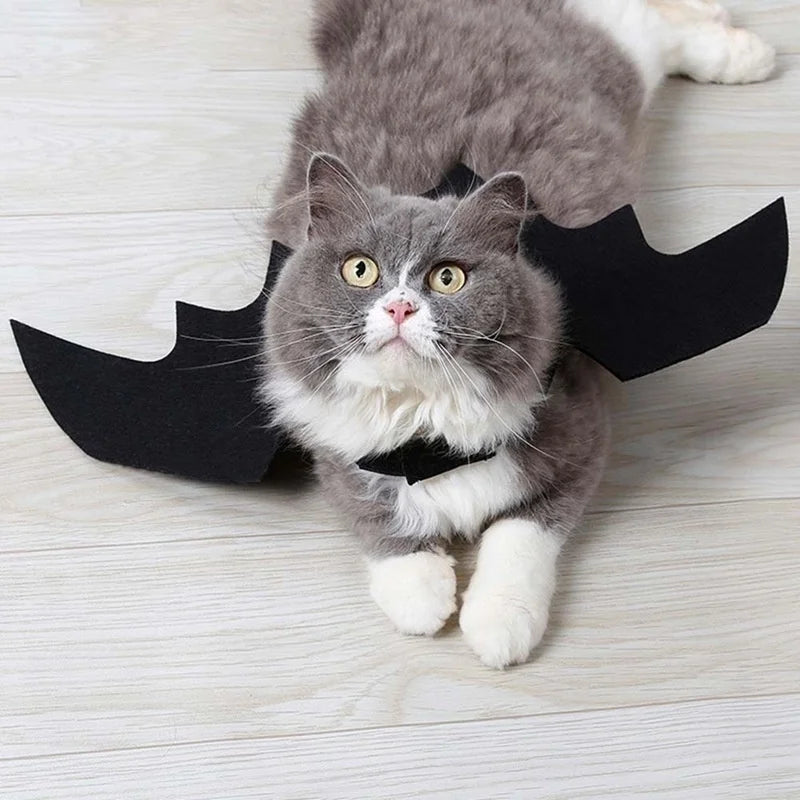 VelumiPets BatWings – Fladdermusvingar för hund & katt