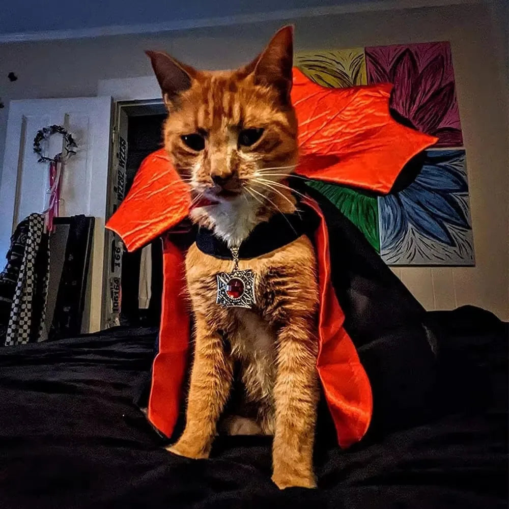 VelumiPets Vampire – Vampyrmantel för hund & katt