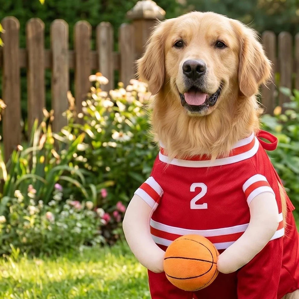 VelumiPets Hoops – Basketkostym för hund