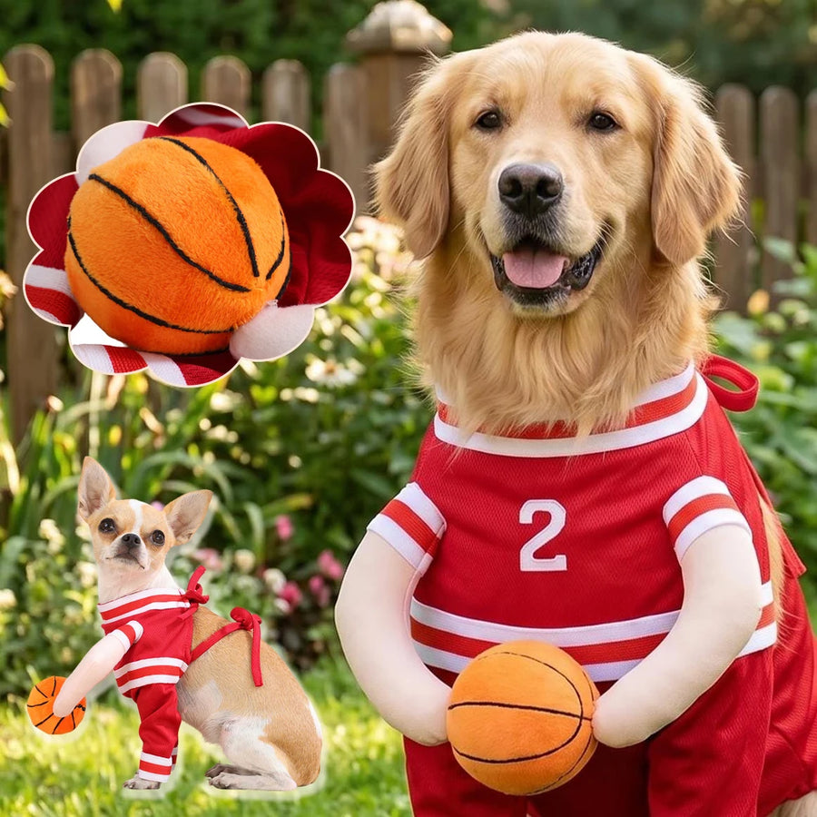 VelumiPets Hoops – Basketkostym för hund