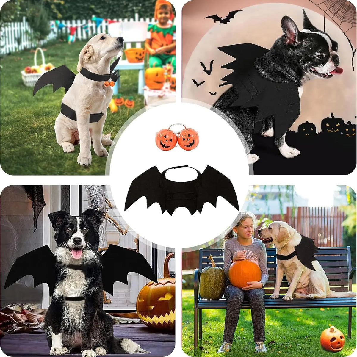 VelumiPets PumpkinBat – Fladdermusvingar med pumpadekor