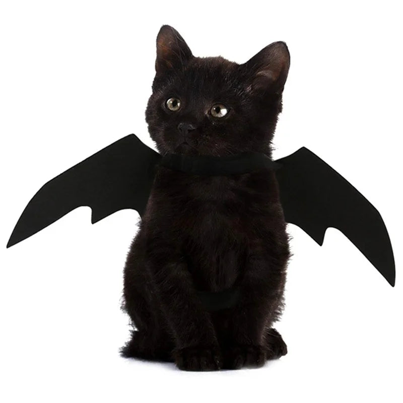 VelumiPets BatWings – Fladdermusvingar för hund & katt